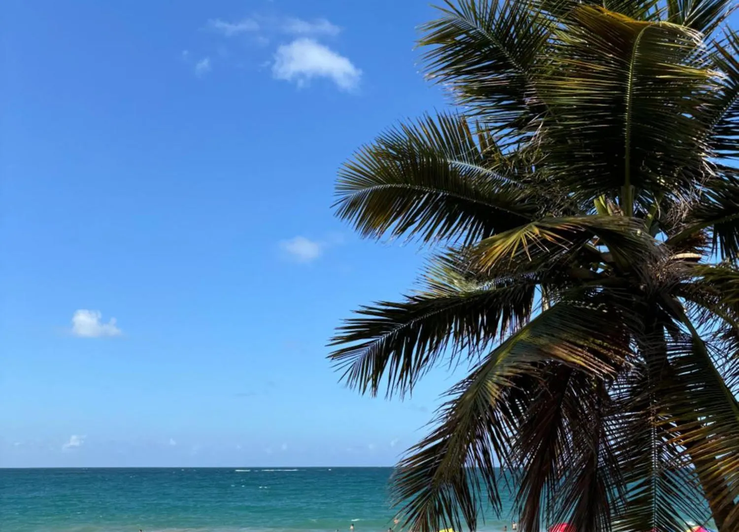 Downtown Condado Tropical Studio San Juan 0*,