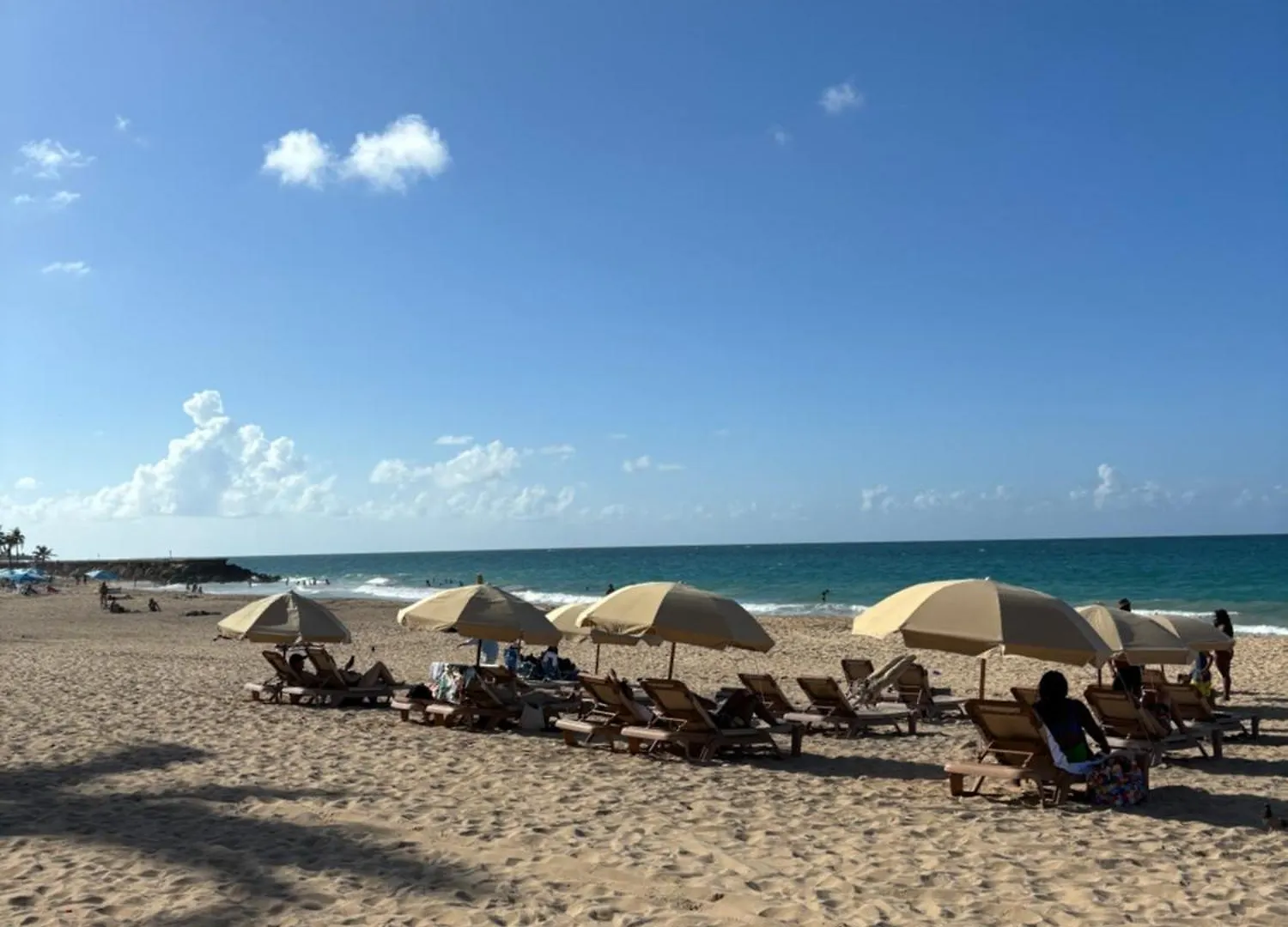 Downtown Condado Tropical Studio San Juan 0*,